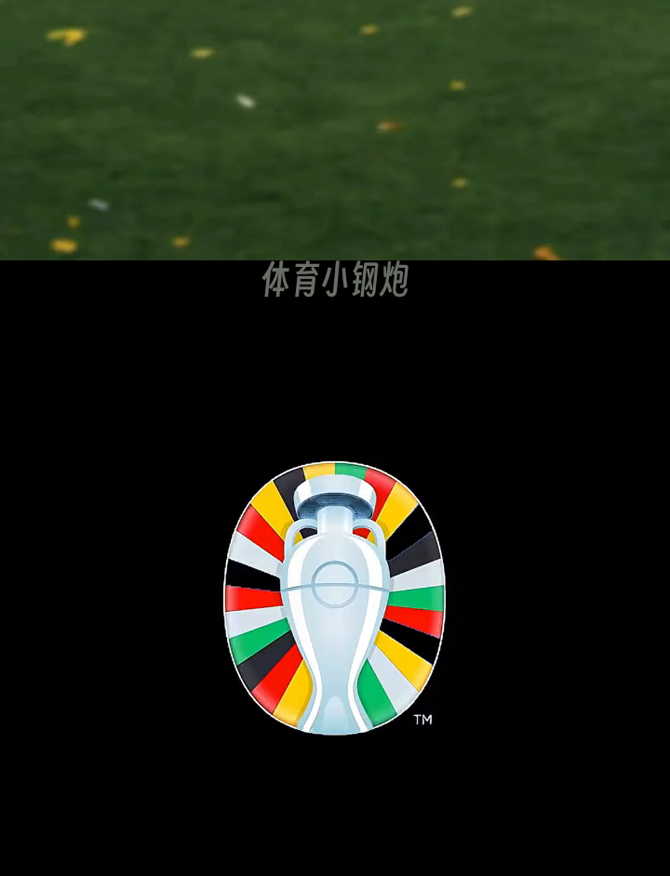 关于荷兰与波兰对决！谁将问鼎胜利宝座？的信息
